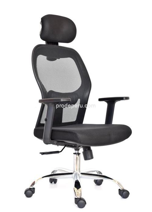 NORUEGA-PRESIDENTE-0